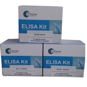 植物凝脂酸（PA ）ELISA试剂盒 