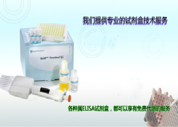 豚鼠白介素12B(IL12B)检测试剂盒