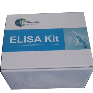  人骨成型蛋白7(BMP-7)ELISA试剂盒 