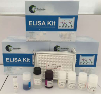 鸭免疫球蛋白E(IgE)ELISA试剂盒